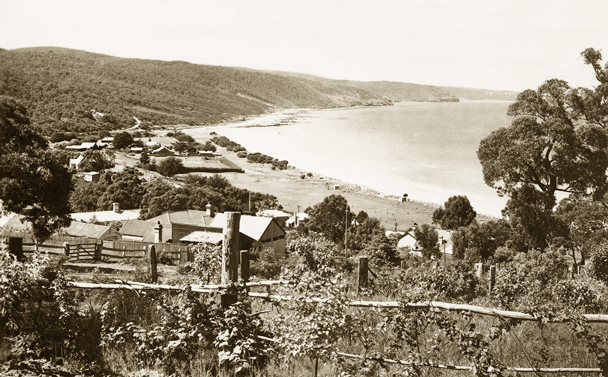 General View Of Town And Beach. Lorne VIC Australia 1920s