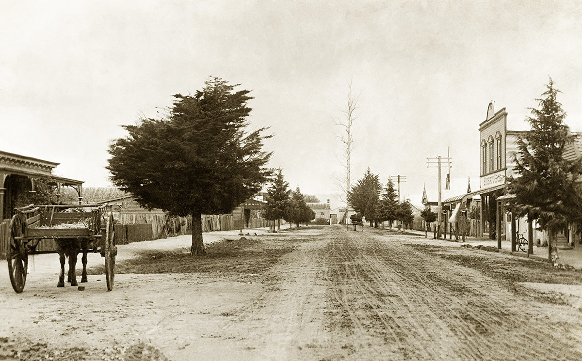 Victoria Street, Scottsdale TAS Australia 1912
