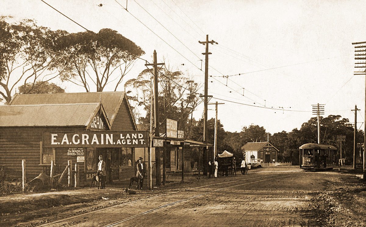 Pittwater Road Looking North, Dee Why NSW Australia 1910s
