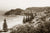 General View, Avoca Beach NSW Australia c.1951
