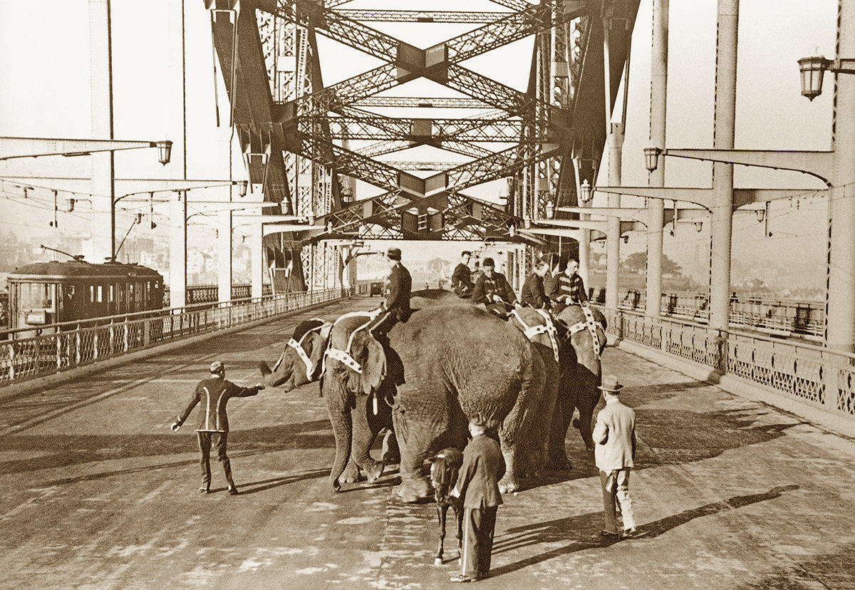 Sydney Harbour Bridge - Elephants Crossing, Sydney NSW Australia 1932