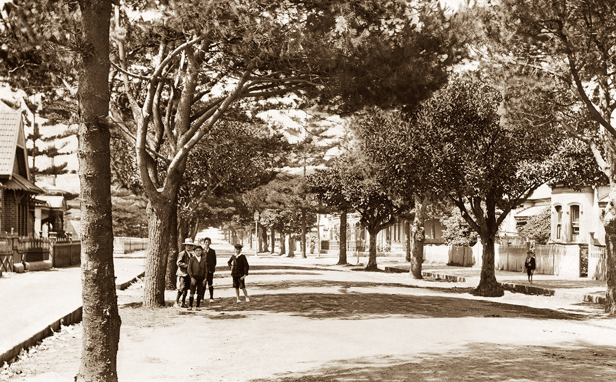 Darley Road, Manly NSW Australia c.1910