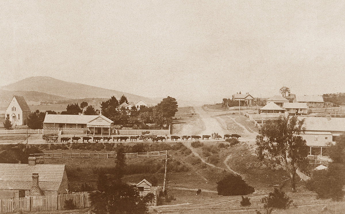 Druitt Street, Adaminaby NSW Australia c.1907