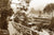 Cremorne Point, Cremorne NSW Australia c.1900