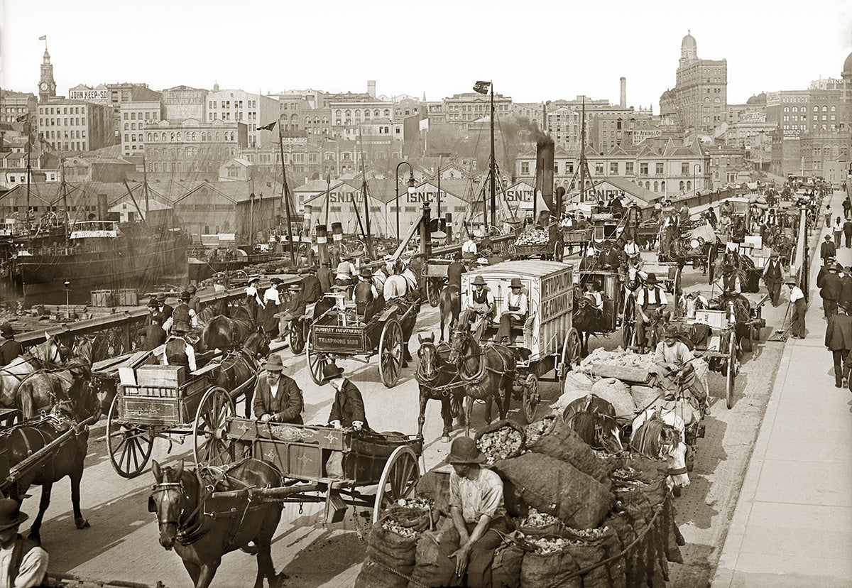 Traffic On Pyrmont Bridge, Sydney NSW Australia 1880s
