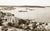 Potts Point And Garden Island, Elizabeth Bay NSW Australia 1930s